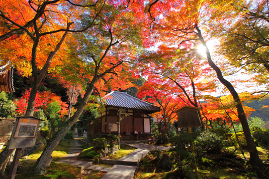 小督局（こごうのつぼね）ゆかりの寺、清閑寺