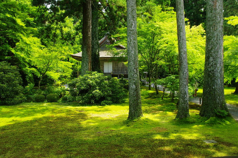 三千院・寂光院の悲しい歴史