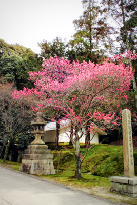 東福寺の涅槃会