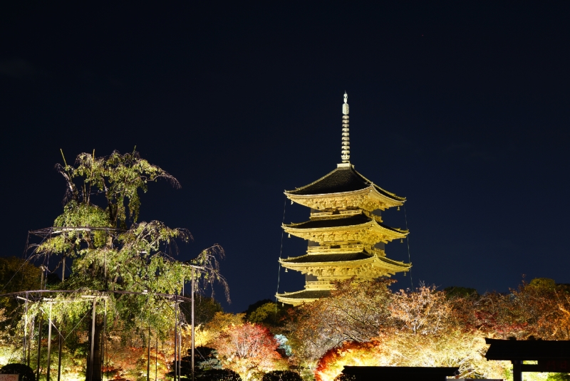 京都紅葉名所一覧　見頃はいつ？